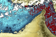 Red Tide in Persian Gulf - ESA Image of the Day 